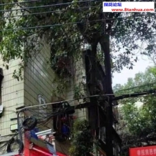 #长沙#,#扫街# 千万不要被那些偷拍狗给坏事了